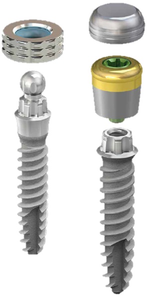 Dentier fixe sur implant dentaire