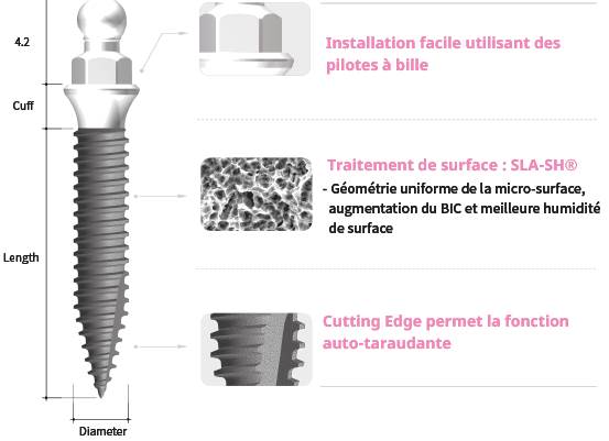 Implant Cowellmedi pour dentier fixe